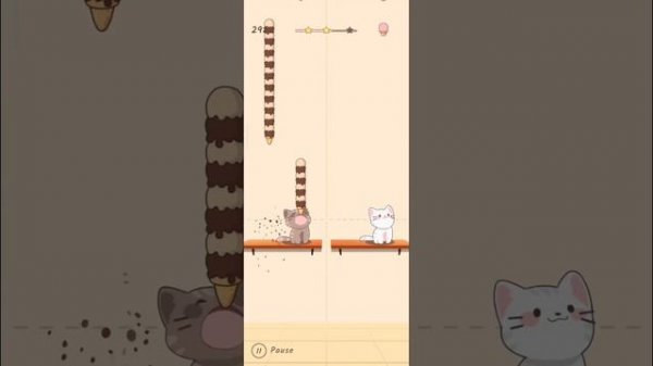 Duet Cats Cheap Thrills