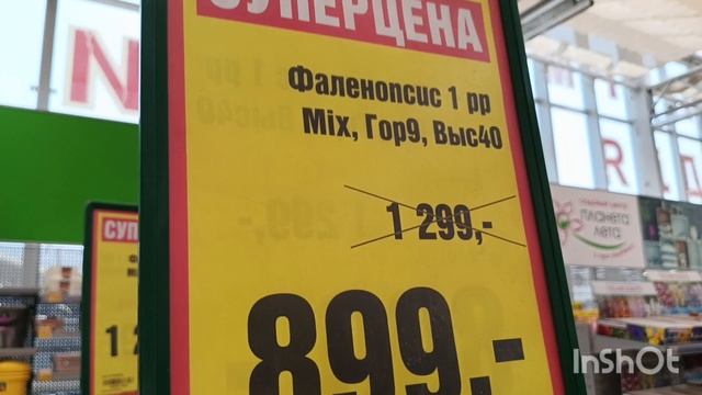 Обзор из с.ц Планета лета/25.03.25/ смотреть онлайн