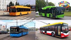 Изучаем транспорт. Логика про машинки для самых маленьких