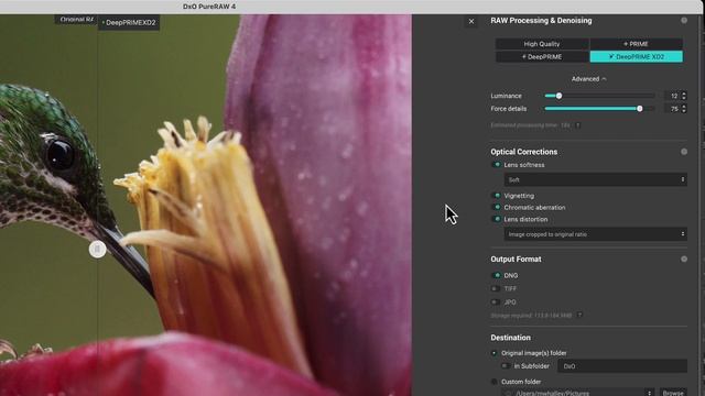 DxO PureRAW  4: Lightroom Workflow