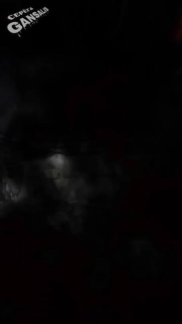 Segway Snarler AT6 #segwaysnarler #отвал #уборкаснега #отвалдляквадроцикла #квадрик #квадроцикл смотреть онлайн