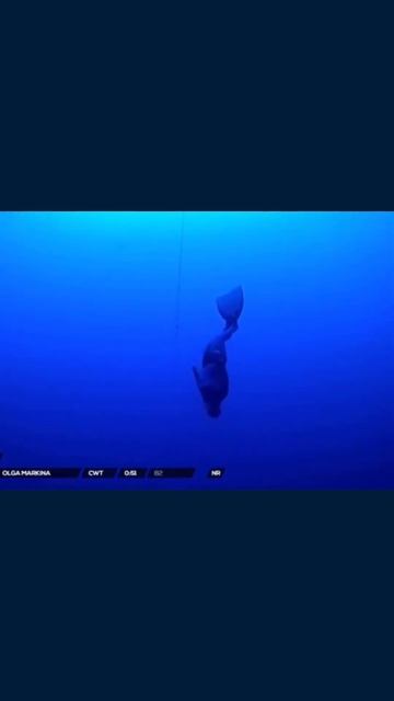 Рекорд по фридайвингу #фридайвинг #рекорд #спорт #freediving #дыхание #diving #глубина смотреть онлайн