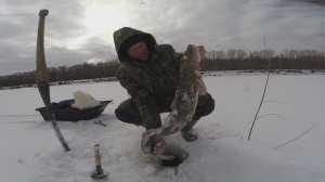 Зимняя рыбалка в Сибири, часть 47, сезон 2025 года.