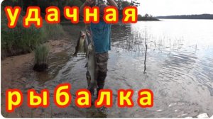 УДАЧНАЯ РЫБАЛКА С ДРУЗЬЯМИ на Верхне-Волжских озерах, рыбачка Вива в кадре.