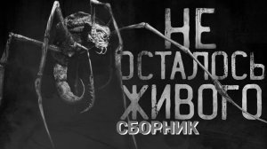 СБОРНИК "НЕ ОСТАЛОСЬ ЖИВОГО!" | Страшные истории на ночь | Страшилки на ночь | Мистика |