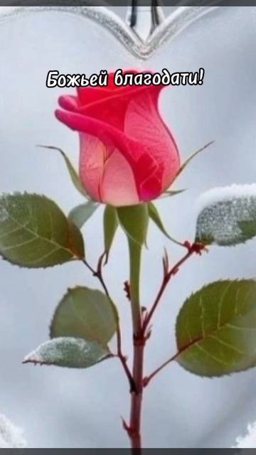 Доброе утро☀ 🌝⏰ смотреть онлайн