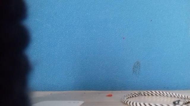 Сквиш айфон