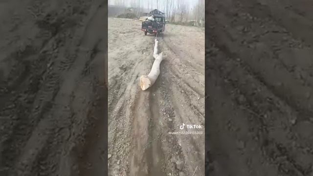 Муравей тест драйв. смотреть онлайн