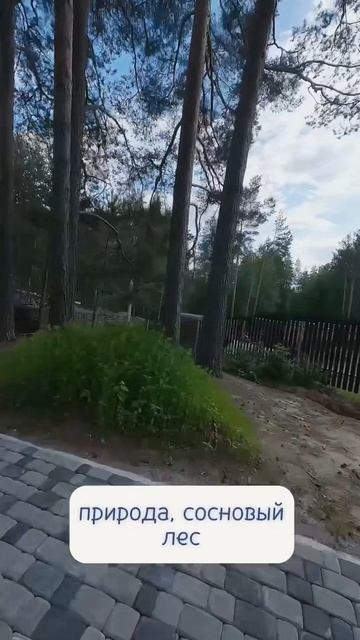 Почему важно знать различие между голодом и аппетитом смотреть онлайн