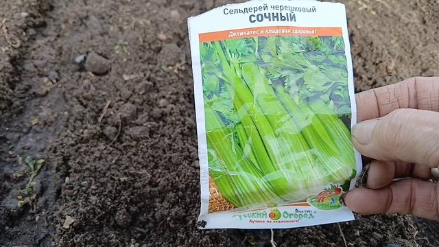 2007.   (25-03-2025). Первые витаминный посевы в теплице.