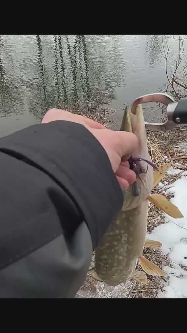 Щука, Лёша, Nautilus Eco'izm-LT ECLT-762L и Дядя Саша на реке Сож смотреть онлайн