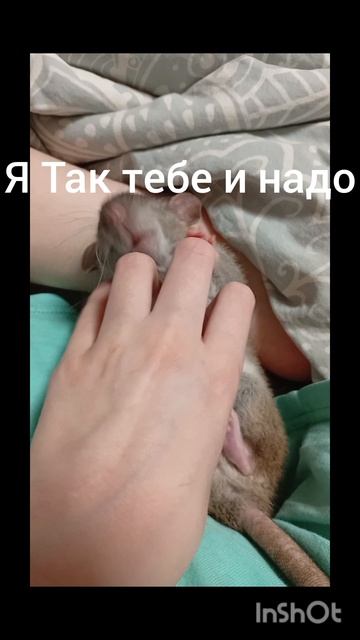 я смотреть онлайн