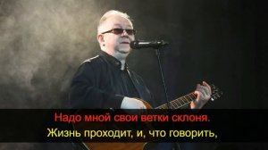 Кучин Иван - Багульник (Караоке) ivan kuchin bagulnik Караоке