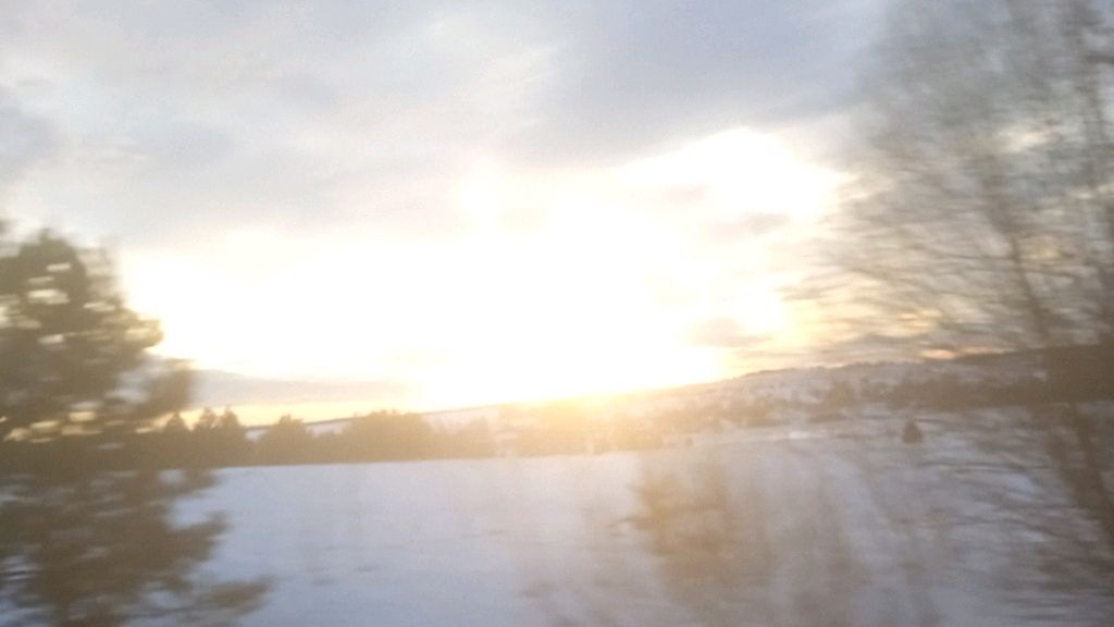 рор смотреть онлайн