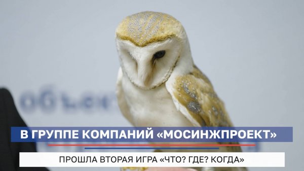 Как прошел очередной поединок «Что? Где? Когда?» в Мосинжпроекте