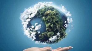 СОРТИРОВКА МУСОРА | Польза раздельного сбора мусора