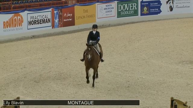 645 MONTAGUE Lily Blavin, Class 34 Large Junior Hunter 15 & Under смотреть онлайн