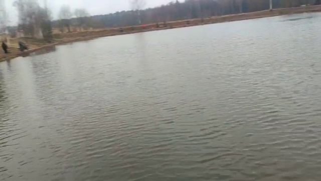 WhatsApp Video 2025-03-25 at 09.50.26 смотреть онлайн