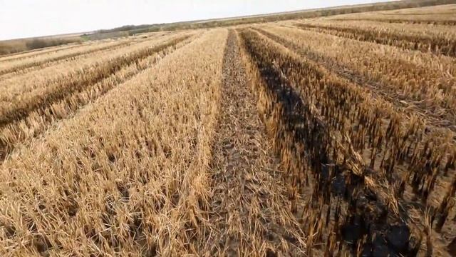 Ходовая охота на утку и бекаса. смотреть онлайн