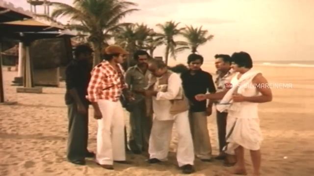 Thodu Dongalu Telugu Full Length Movie || Chiranjeevi, Krishna, Madhu Malini, Geetha смотреть онлайн