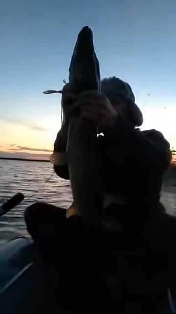 Огромная Щучья бошка/На живца/Вялье смотреть онлайн