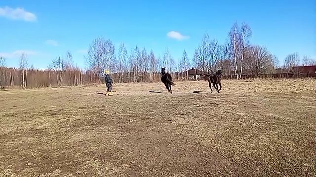 YouCut_20250317_162735781