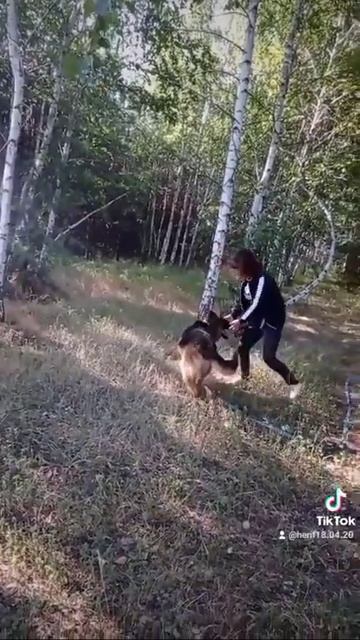 Собака обладает одним прекрасным душевным качеством – она помнит добро смотреть онлайн