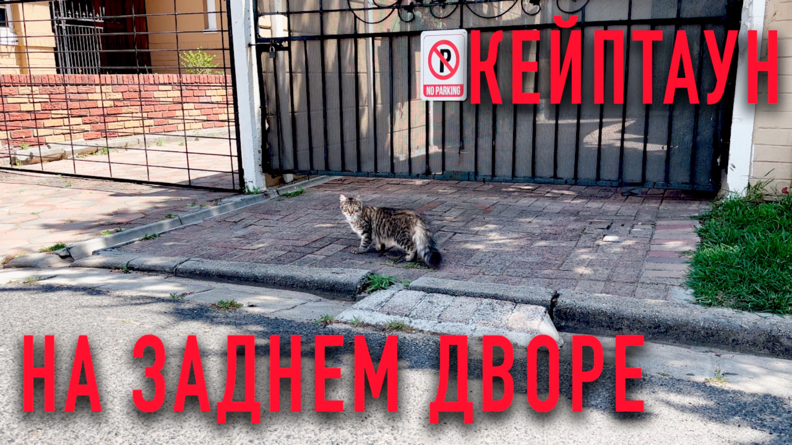 Задний двор 🇿🇦 Кейптаун смотреть онлайн