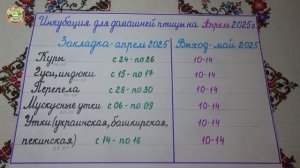 Оптимальные дни для инкубации яиц в АПРЕЛЕ для здорового молодняка