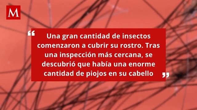 Niña de 9 años muere de anemia tras masiva infestación de piojos en EU смотреть онлайн