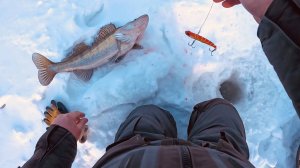 Рыбалка на СУДАКА в середине МАРТА