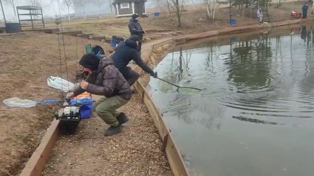 WhatsApp Video 2025-03-26 at 10.09.32 смотреть онлайн