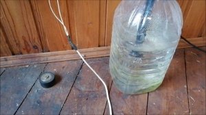 Рассада - электрогрядка - густая вода