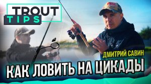 Как ловить на миницикады (рифранеры). Trout Tips
