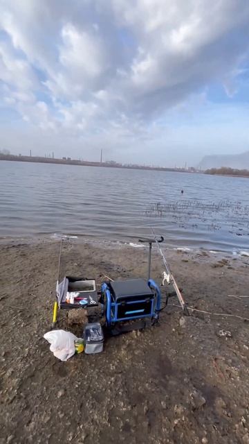 Открыли сезон на большой воде 🔥 Плотвы много , а вот карась еще не вышел ( Ждем ) 🤓 #рыбалка смотреть онлайн