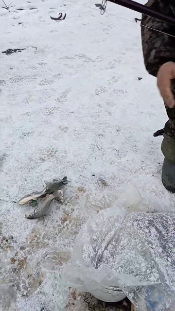 И такое бывает😁😁😁 смотреть онлайн