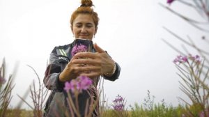 Суть профессии. Эколог