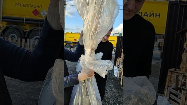 Распечатываем свежий приход импортных роз