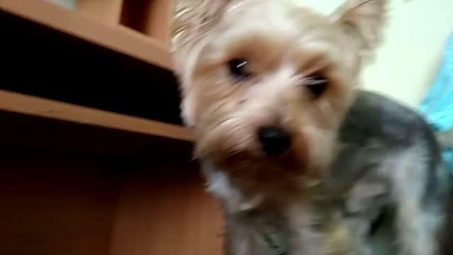 11 июля 2019 г. смотреть онлайн