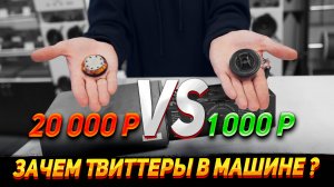 зачем нужны твитерры в автомобиле
