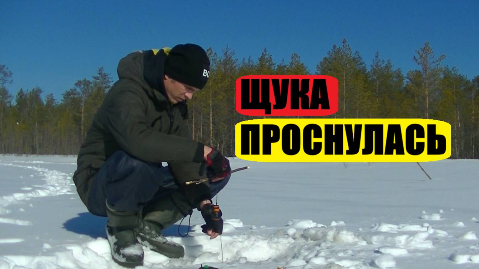 Ловля щуки в марте на самоловки.Рыбалка на озере в болоте. смотреть онлайн