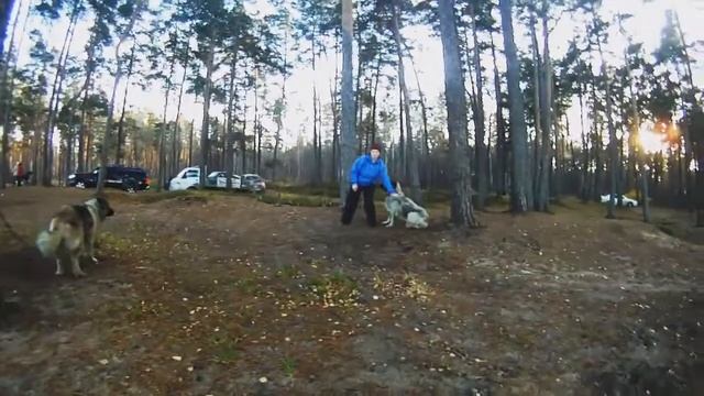 Данила + (Злата + Червона Рута) смотреть онлайн