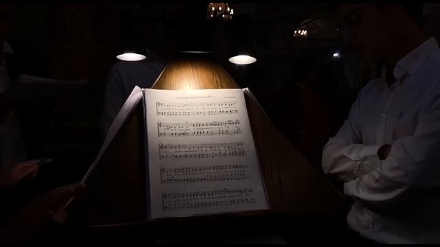 В. Файнер - Единородный Сыне V. Fainer - Only begotten Son смотреть онлайн