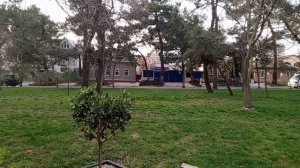 video_2025-03-25_13-02-20