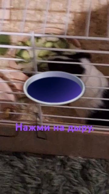 #песня #дуэт #анимация #music #рекомендации #emoji #duet #furry #funny #edit смотреть онлайн