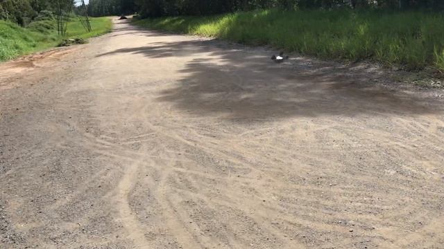 Losi rock rey quick bash, mamba x 3800kv смотреть онлайн