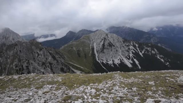 Chamorchis alpina in its biotope, Caricetum firmae смотреть онлайн