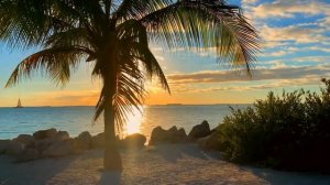 Ravshan Sobirov - Yolg'izlikda ( 2025 ) | Равшан Собиров - Ёлгизликда |  Remix by Xon-Saroy