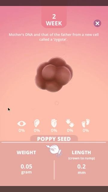 pregnancy idle week 2 смотреть онлайн