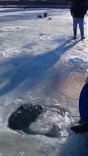 запуск смотреть онлайн
